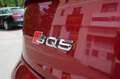Audi SQ5 TDI quattro Aut. Marrone - thumbnail 14