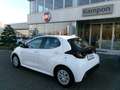 Toyota Yaris Yaris 1.0 5 porte Business Weiß - thumbnail 3