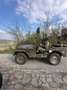 Jeep Willys Willys-Overland M38A1 (MD) - thumbnail 4