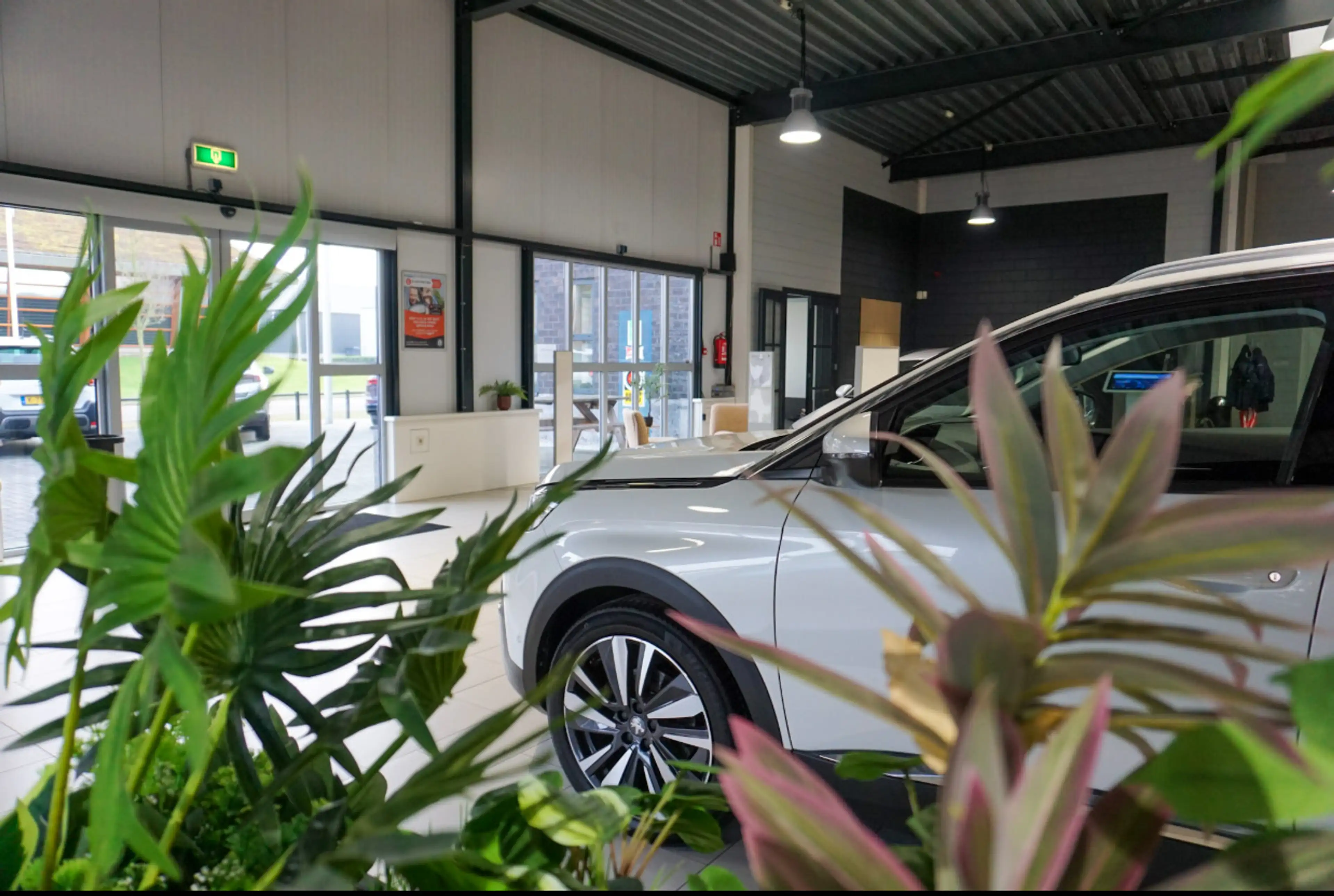Citroen E-C4 Electric Feel Pack 50 kWh Ad.Cruise/Camera/CarPlay/18inch — photo 28
