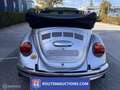 Volkswagen Beetle Cabriolet | 1975 | Route 66 Auctions Negru - thumbnail 8