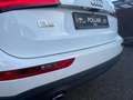 Audi Q5 2.0 TDI 130 kW quattro Navi Kamera Automatik Weiß - thumbnail 19