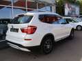 BMW X3 X 3 xDrive 20d HUD RFK Pano Leder X-Line Weiß - thumbnail 7