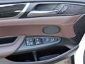 BMW X3 X 3 xDrive 20d HUD RFK Pano Leder X-Line Weiß - thumbnail 21