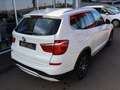 BMW X3 X 3 xDrive 20d HUD RFK Pano Leder X-Line Weiß - thumbnail 8