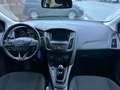 Ford Focus Turnier Business Blau - thumbnail 13