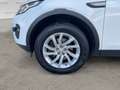 Land Rover Discovery Sport 2.0 TD4 AUTOCARRO+IVA 150 CV SE Aut. Blanco - thumbnail 9