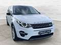 Land Rover Discovery Sport 2.0 TD4 AUTOCARRO+IVA 150 CV SE Aut. Blanco - thumbnail 4