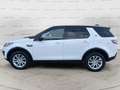 Land Rover Discovery Sport 2.0 TD4 AUTOCARRO+IVA 150 CV SE Aut. Blanco - thumbnail 8