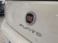 Fiat Punto 1.3 MJT II S&S 85 CV 5 porte ECO Lounge Blanc - thumbnail 15
