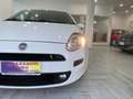 Fiat Punto 1.3 MJT II S&S 85 CV 5 porte ECO Lounge Blanc - thumbnail 9