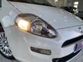 Fiat Punto 1.3 MJT II S&S 85 CV 5 porte ECO Lounge Blanc - thumbnail 10