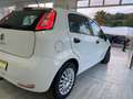 Fiat Punto 1.3 MJT II S&S 85 CV 5 porte ECO Lounge Blanc - thumbnail 14