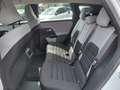 Citroen C5 Aircross mHEV 145 You Automatik LAGER-AKTION Weiß - thumbnail 15