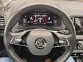 Skoda Karoq Style 4x4 LED AHK STANDHZ PANORAMA Blau - thumbnail 7