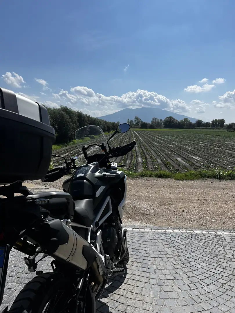 Triumph rally Pro - 1