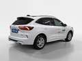 Ford Kuga 2,5 Duratec FHEV ST-Line X Allrad Aut. Weiß - thumbnail 15