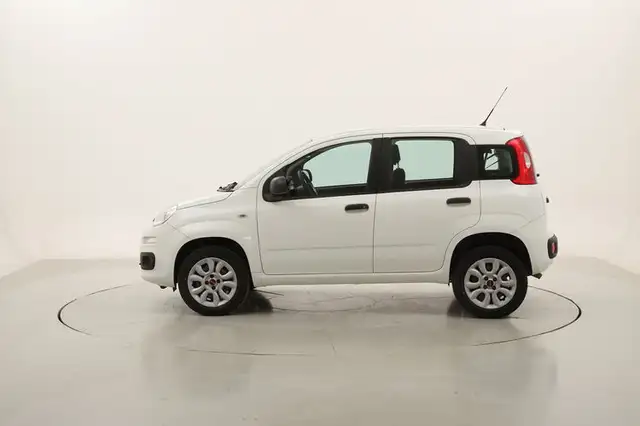 Fiat Panda view 2
