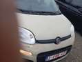 Fiat Panda 0.9 TwinAir 65 ch S&S Easy - thumbnail 11
