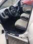 Fiat Panda 0.9 TwinAir 65 ch S&S Easy - thumbnail 2