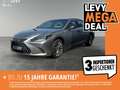 Lexus ES 300 h Privilege Line +Leder beige+Matrix+MarkL+ Silber - thumbnail 1