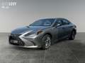Lexus ES 300 h Privilege Line +Leder beige+Matrix+MarkL+ Silber - thumbnail 2