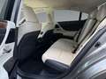Lexus ES 300 h Privilege Line +Leder beige+Matrix+MarkL+ Argent - thumbnail 14