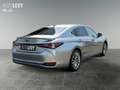 Lexus ES 300 h Privilege Line +Leder beige+Matrix+MarkL+ Silber - thumbnail 6
