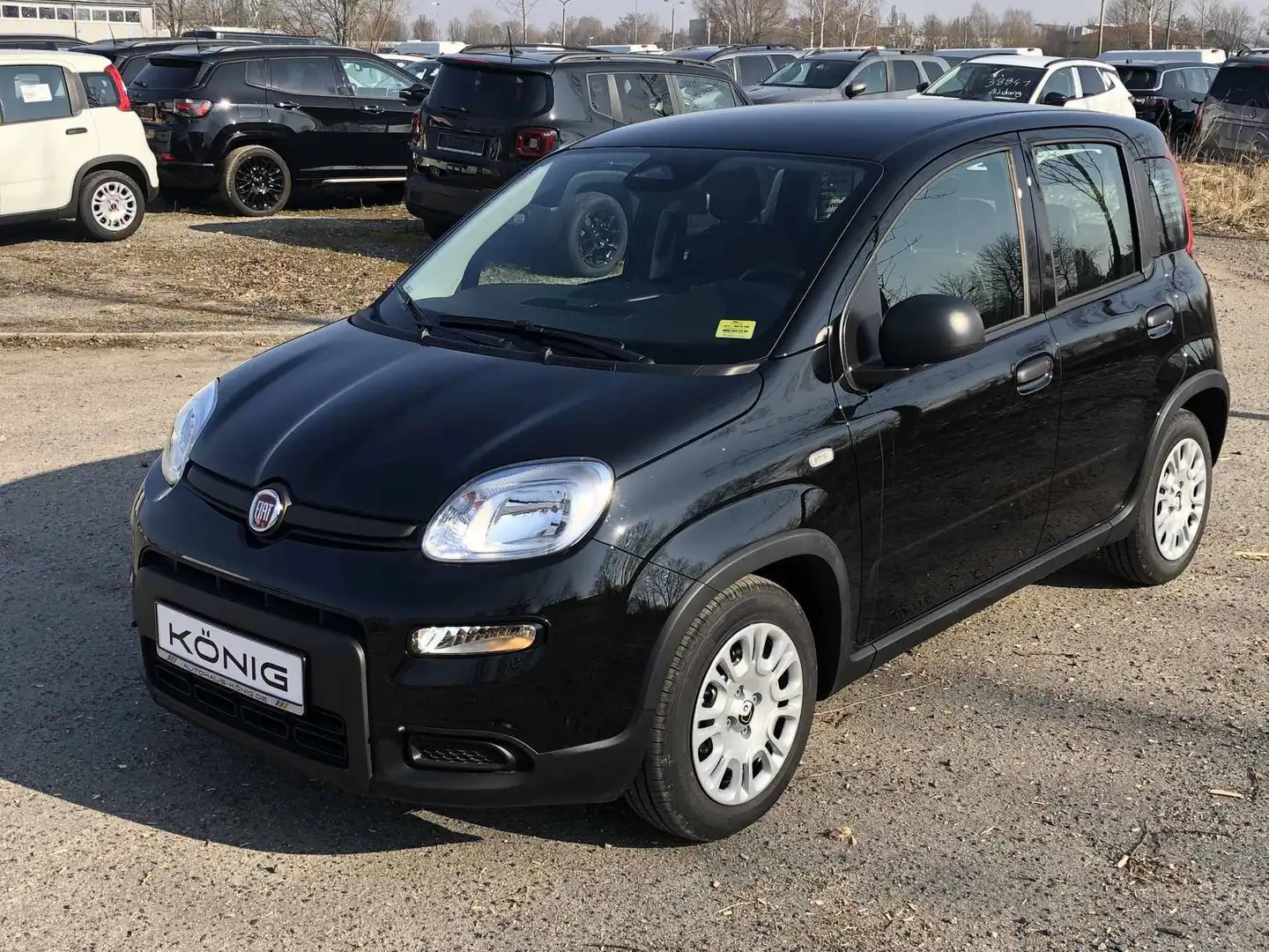 Fiat Panda MY24 1.0 Klima PDC Citypaket Schwarz - 1