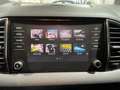 Skoda Karoq 2.0TDI AdBlue Ambition 110kW Gris - thumbnail 27