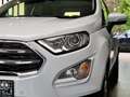 Ford EcoSport Titanium 1,0EcoBoost*Bi-Xenon*Teilleder Weiß - thumbnail 9