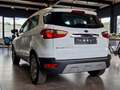 Ford EcoSport Titanium 1,0EcoBoost*Bi-Xenon*Teilleder Weiß - thumbnail 10