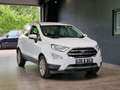 Ford EcoSport Titanium 1,0EcoBoost*Bi-Xenon*Teilleder Weiß - thumbnail 6