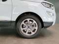 Ford EcoSport Titanium 1,0EcoBoost*Bi-Xenon*Teilleder Weiß - thumbnail 5