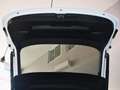 Audi Q3 S-Line 35 TDI 150 S-Tronic GPS Virtual Hayon Pré Sense Car Play Caméra Lane Efficience JA 19 Wit - thumbnail 15