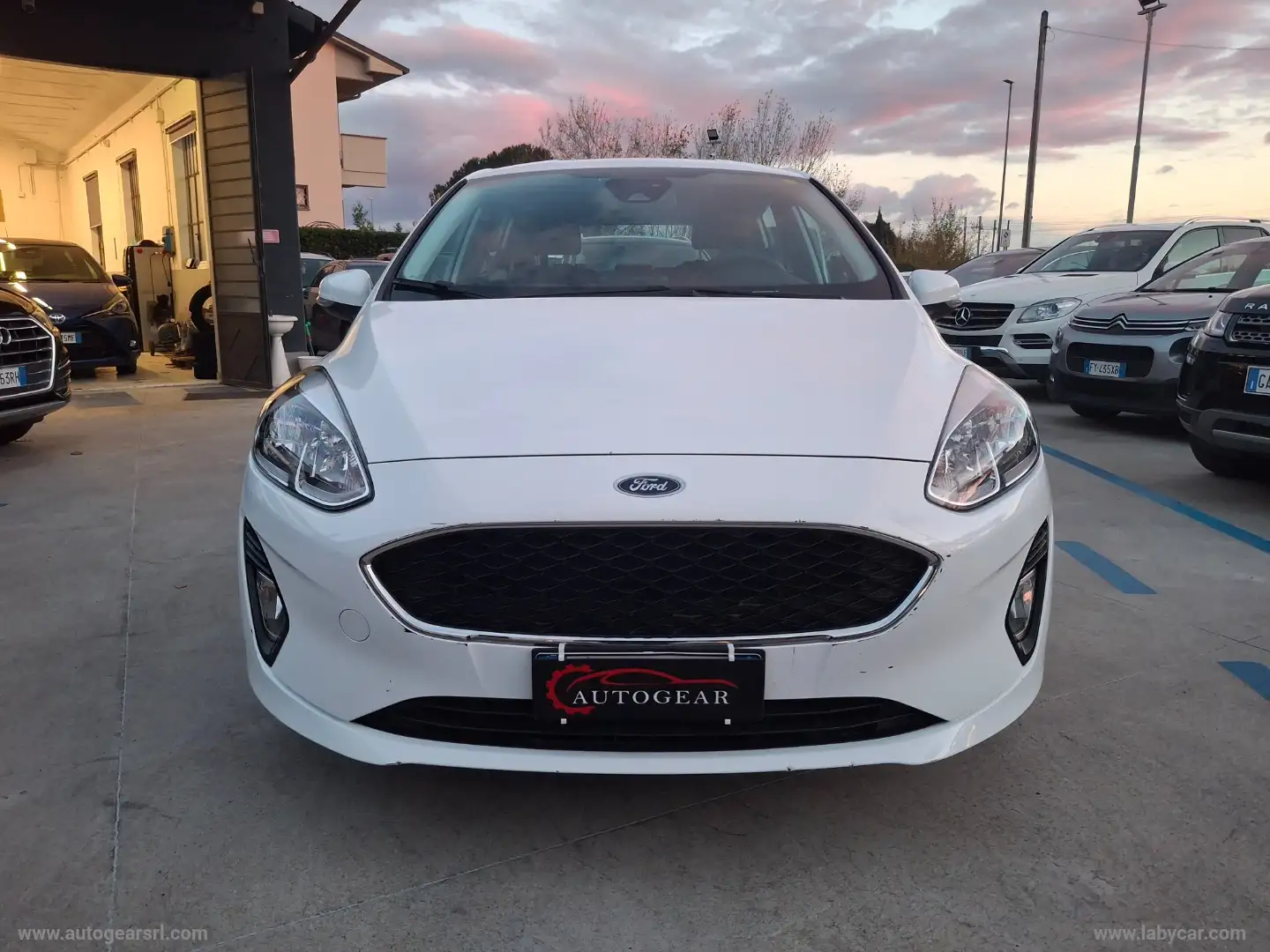 Ford Fiesta 1.5 EcoBlue 5p. Connect Bianco - 2