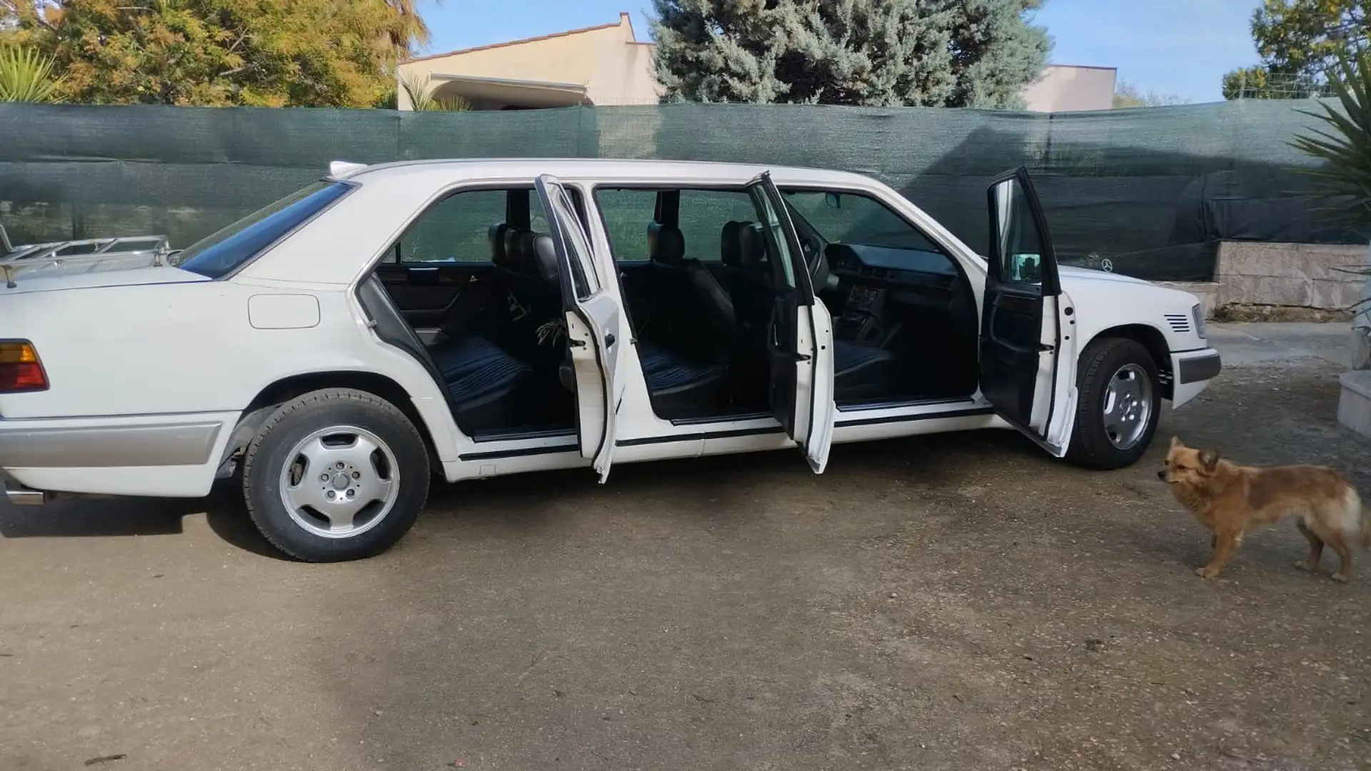 Mercedes-Benz 250 Presidenziale 8 posti Alb - 2