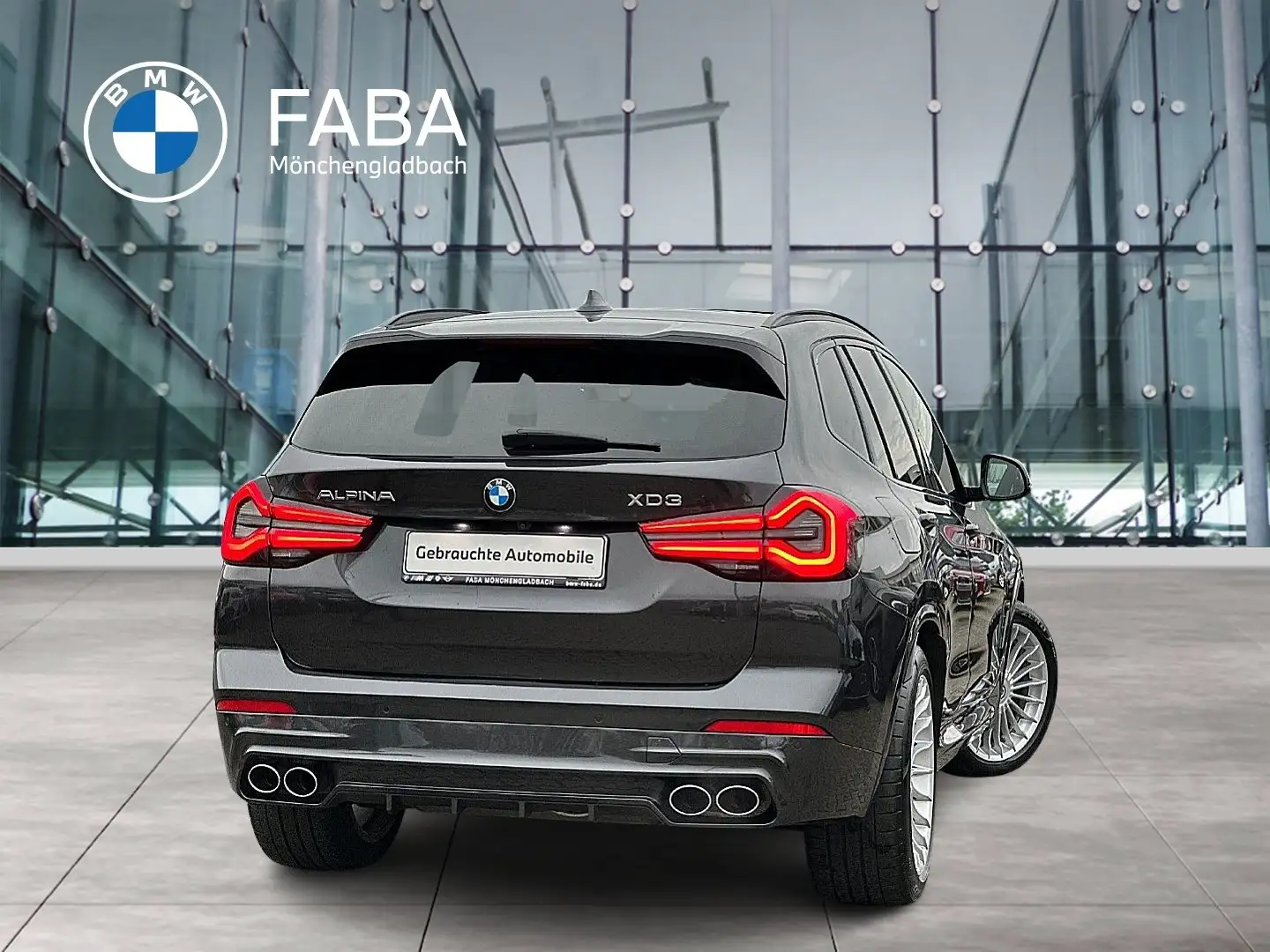 Alpina XD3 Laserlicht HUD WLAN HA/KA Panorama Grau - 2