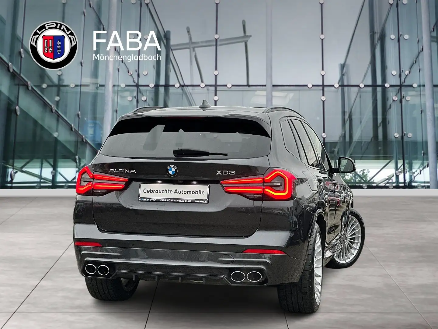 Alpina XD3 Laserlicht HUD WLAN HA/KA Panorama Gris - 2