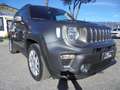 Jeep Renegade Renegade 2019 1.0 t3 Limited 2wd Grijs - thumbnail 19