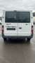 Ford Transit Kasten FT 260 ATM 35TKM TÜV NEU+ Insp Weiß - thumbnail 9