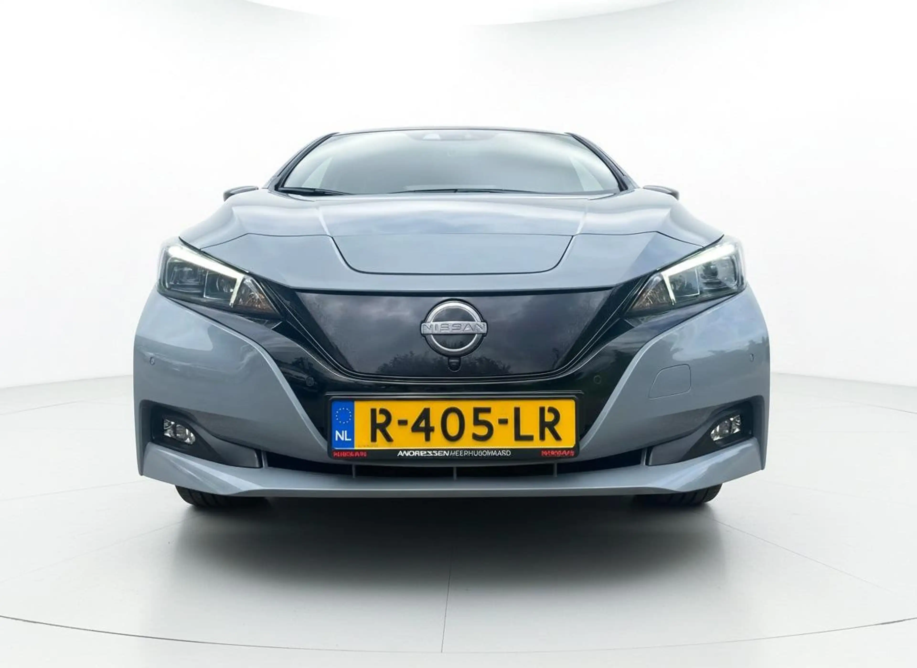 Nissan Leaf e+ Tekna 62 kWh SoH 95% — photo 4