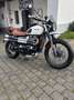Triumph Street Scrambler 900 Fekete - thumbnail 1
