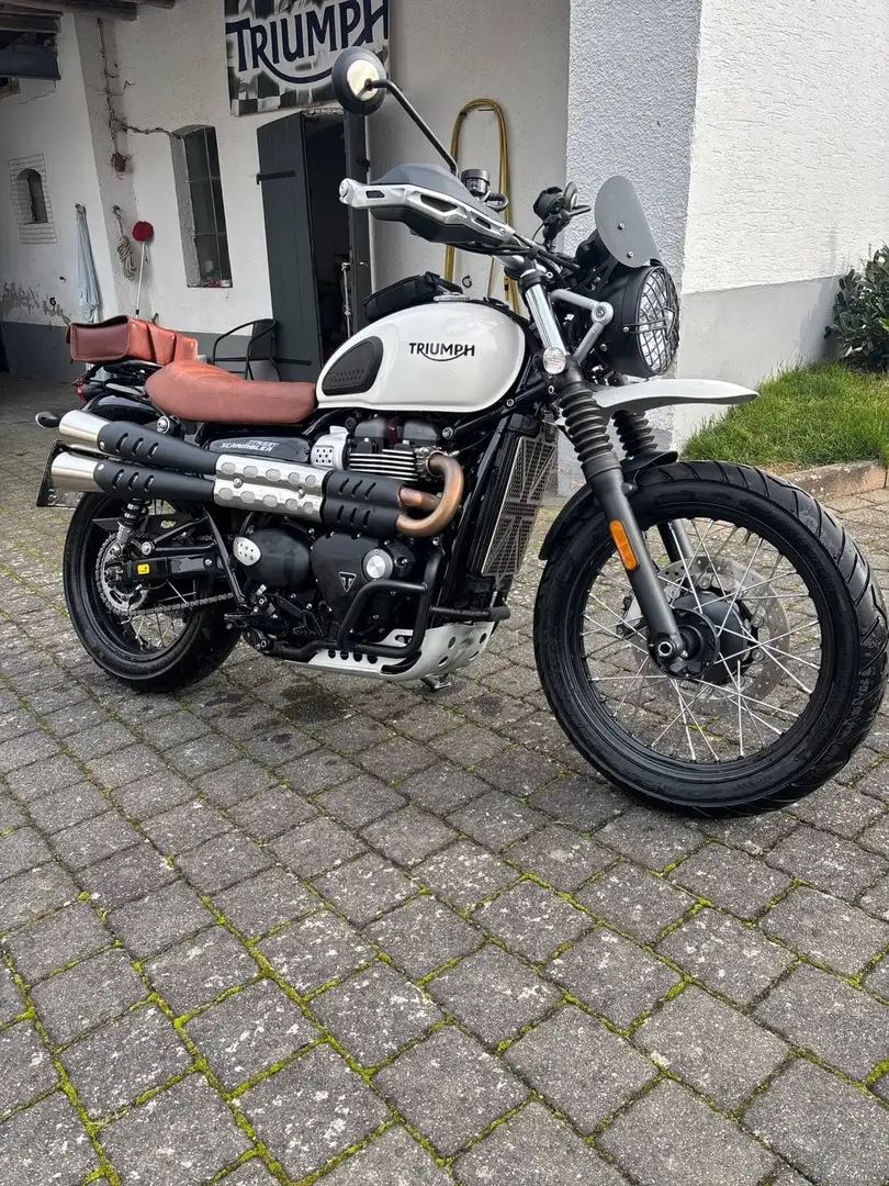 Triumph Street Scrambler 900 Zwart - 1