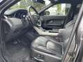 Land Rover Range Rover Evoque SE Dynamic Grau - thumbnail 15