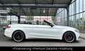 Mercedes-Benz C 63 AMG S*Performance Paket*Designo Matt*Voll* Weiß - thumbnail 30