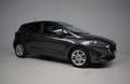 Ford Fiesta 1.0 EcoBoost Hybrid Titanium X ORG.NED / VIRTUAL / Gris - thumbnail 25