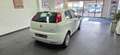 Fiat Punto 1.2 Klima SR+WR TÜV 01/2028 Weiß - thumbnail 5
