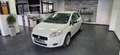 Fiat Punto 1.2 Klima SR+WR TÜV 01/2028 Weiß - thumbnail 3