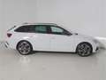 Skoda Octavia Combi 2.0 TDI RS 4x4 DSG AHK/Matrix/HUD Blanc - thumbnail 5